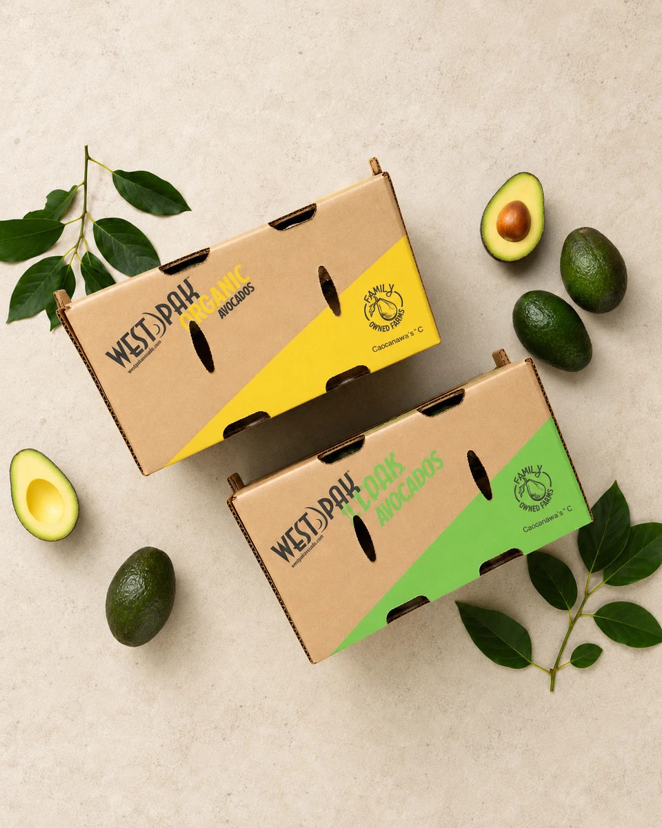 Two West Pak organic avocado lugs with Hass avocados
