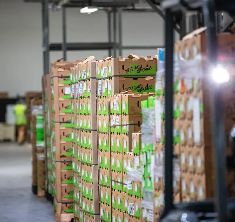 Pallets of packed West Pak avocado boxes ready for shipment